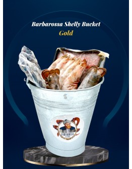 Barbarossa Shelly Premium Bucket